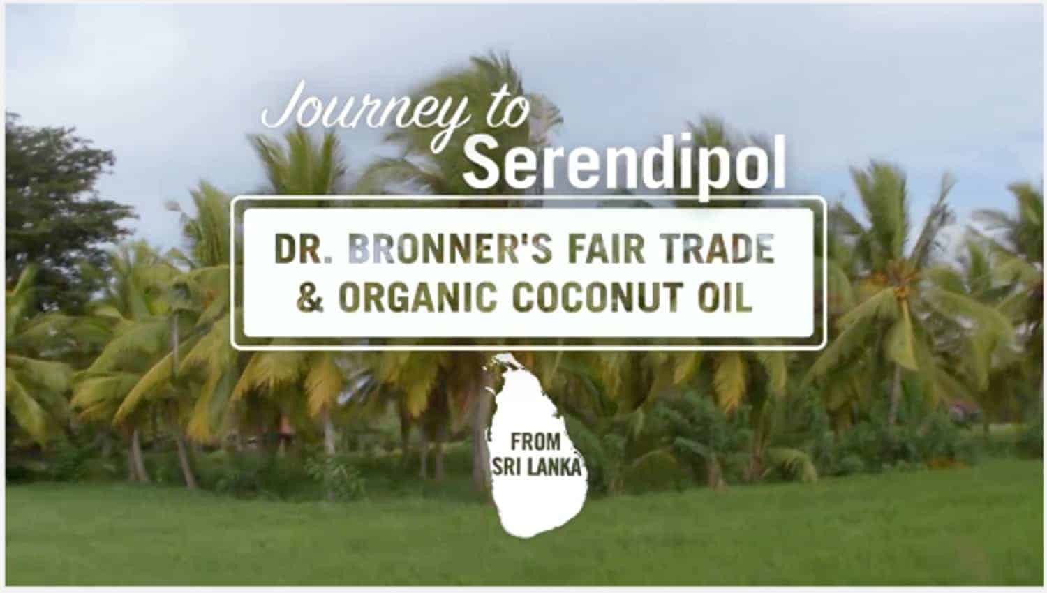 The company Dr. Bronner's is not just creating good-smelling, sustainable soaps and personal care items. They're also purchasing organic, fair trade coconut oil from small farmers in Sri Lanka, helping create a product that is healthy and sustainable--and increases farmers' incomes and ability to thrive in their communities.