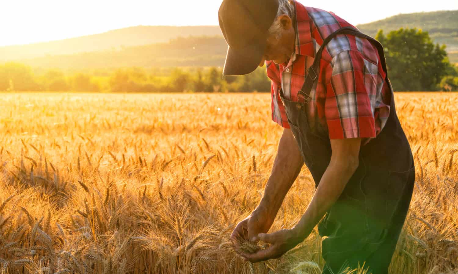 As debate over the next version of the Farm Bill begins, members of Congress could attempt to undermine the National Organic Standards Board, the regulatory body that determines what is meant by "organic" in agriculture.