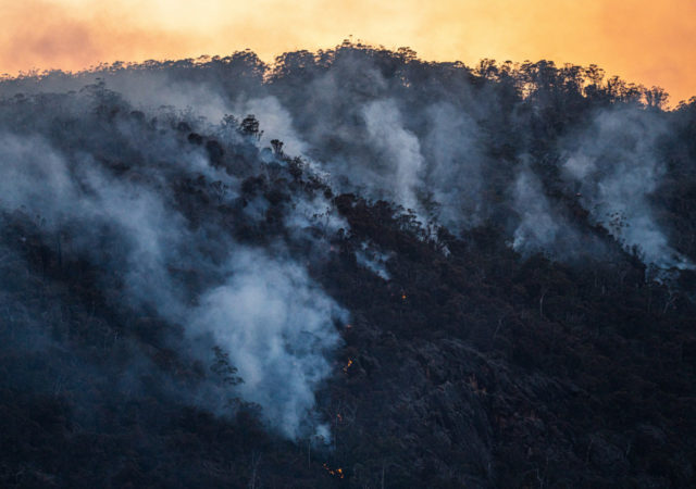 Several supermarket chains in Europe are taking steps to reduce or eliminate sales of beef linked to deforestation in Brazil's Amazon.