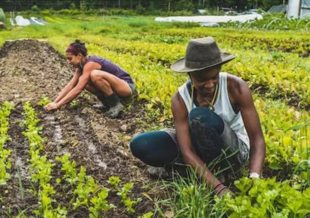 On Juneteenth, a holiday recognizing the end of slavery, A Growing Culture is holding a daylong broadcast to elevate Black voices in the food system.