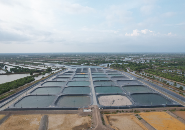 Aerial view of a modular shrimp farm in Vietnam, with lined ponds, narrow walkways, and a lush, water-rich landscape in the background.